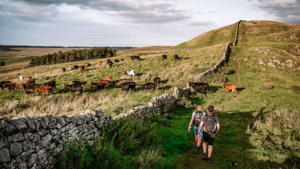 © Scott / Adobe Stock 12 Beautiful Hiking Trails in Europe Hadrian’s Wall Path, England
