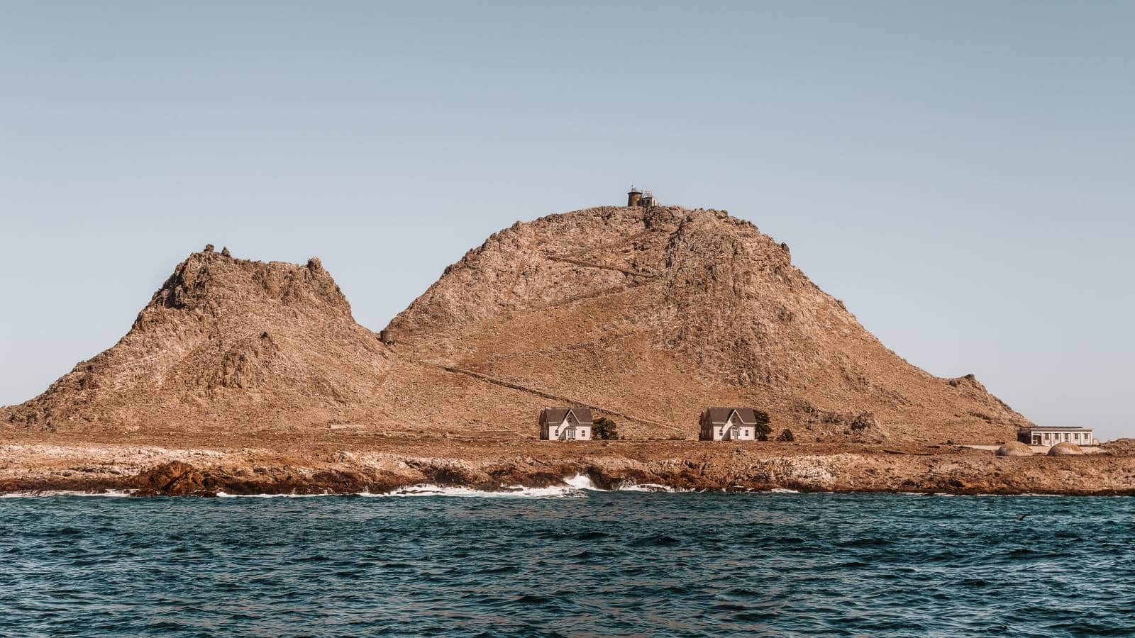 12 Most Dangerous Islands in the World Farallon Islands, United States_© Jill Clardy_Adobe Stock_445780344 12 Most Dangerous Islands in the World Farallon Islands, United States