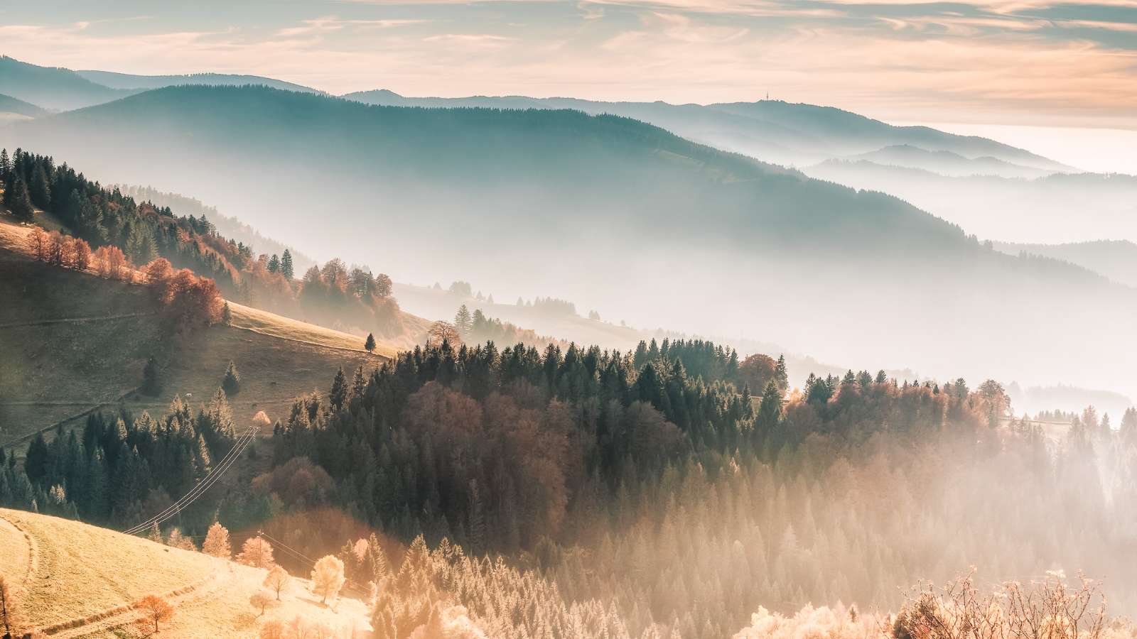 Epic Adventures for Solo Travelers in Europe Explore the Black Forest, Germany Epic Adventures for Solo Travelers in Europe Explore the Black Forest, Germany