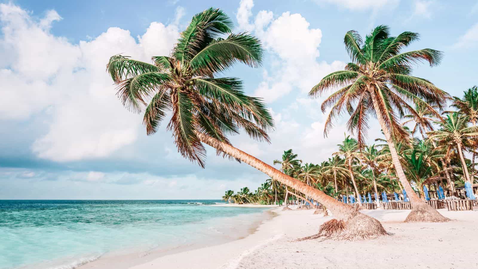 Beaches with the Whitest Sand in the World_Tulum Beach, Mexico_© Ecstk22_Shutterstock_2320711715 Beaches with the Whitest Sand in the World Tulum Beach, Mexico