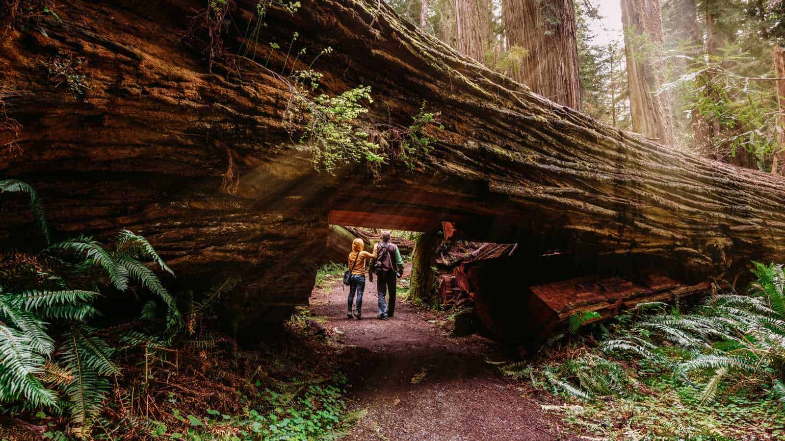 12 Most Beautiful Places To Visit on the West Coast