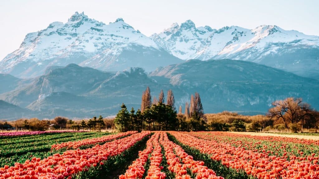 © Pedro Suarez / Adobe Stock 12 Cheap Residency Options in Latin America Argentina Trevelin, Patagonia