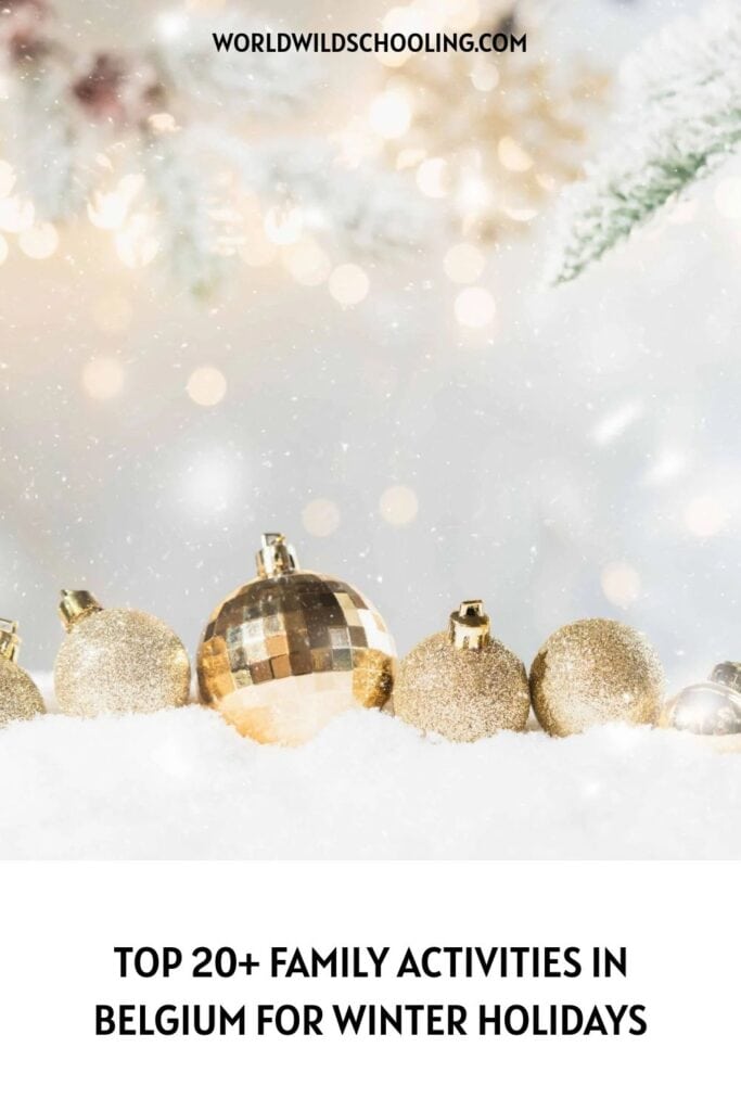 20+ Family Activities in Belgium for Winter Holidays 20+ Family Activities in Belgium for Winter Holidays