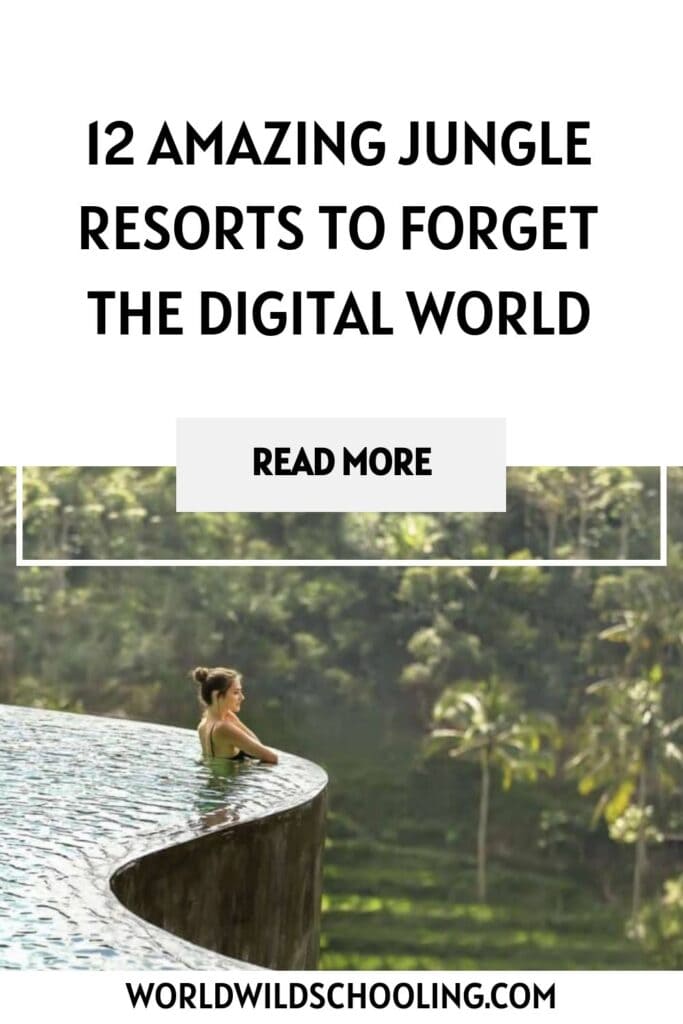 12 Jungle Resorts So Exotic, You’ll Forget Wi-Fi Even Exists 12 Jungle Resorts So Exotic, You’ll Forget Wi-Fi Even Exists