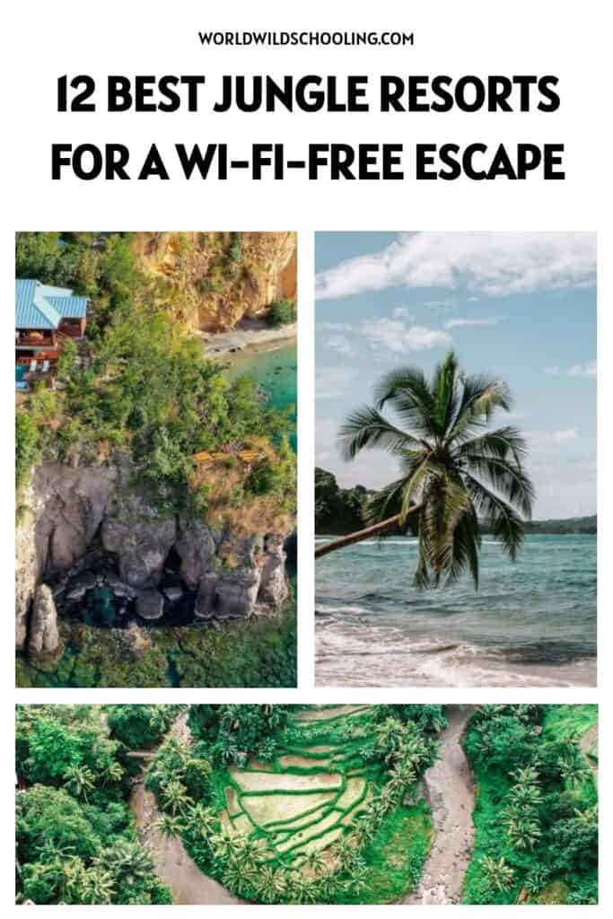 12 Jungle Resorts So Exotic, You’ll Forget Wi-Fi Even Exists 12 Jungle Resorts So Exotic, You’ll Forget Wi-Fi Even Exists