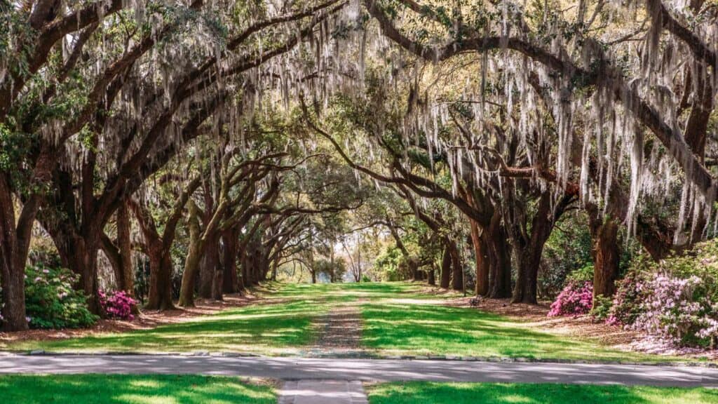 Top Things to Do in Charleston, South Carolina See Charles Towne Landing