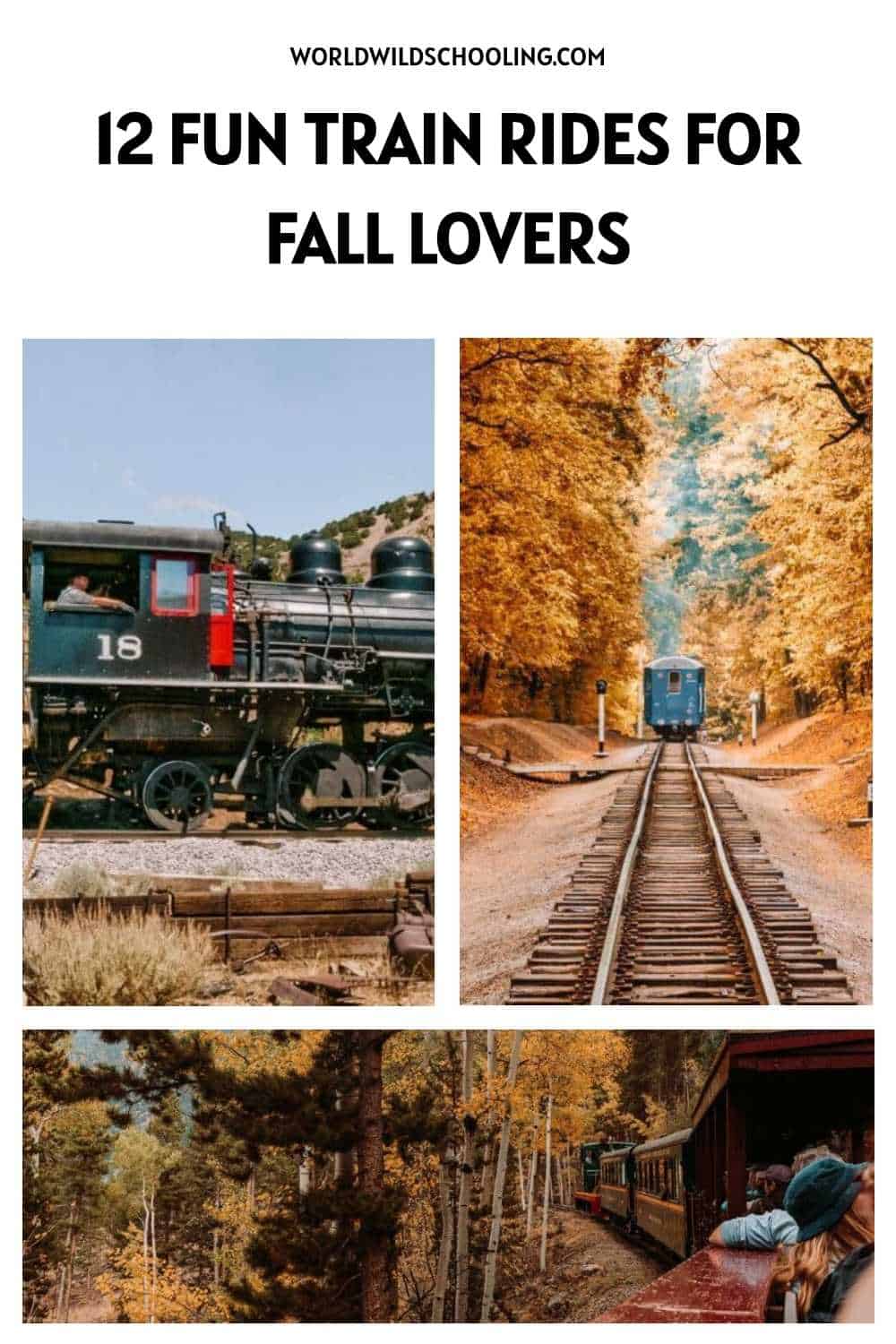 These 12 Fall Foliage Train Rides in the US Will Outshine Your Pumpkin ...