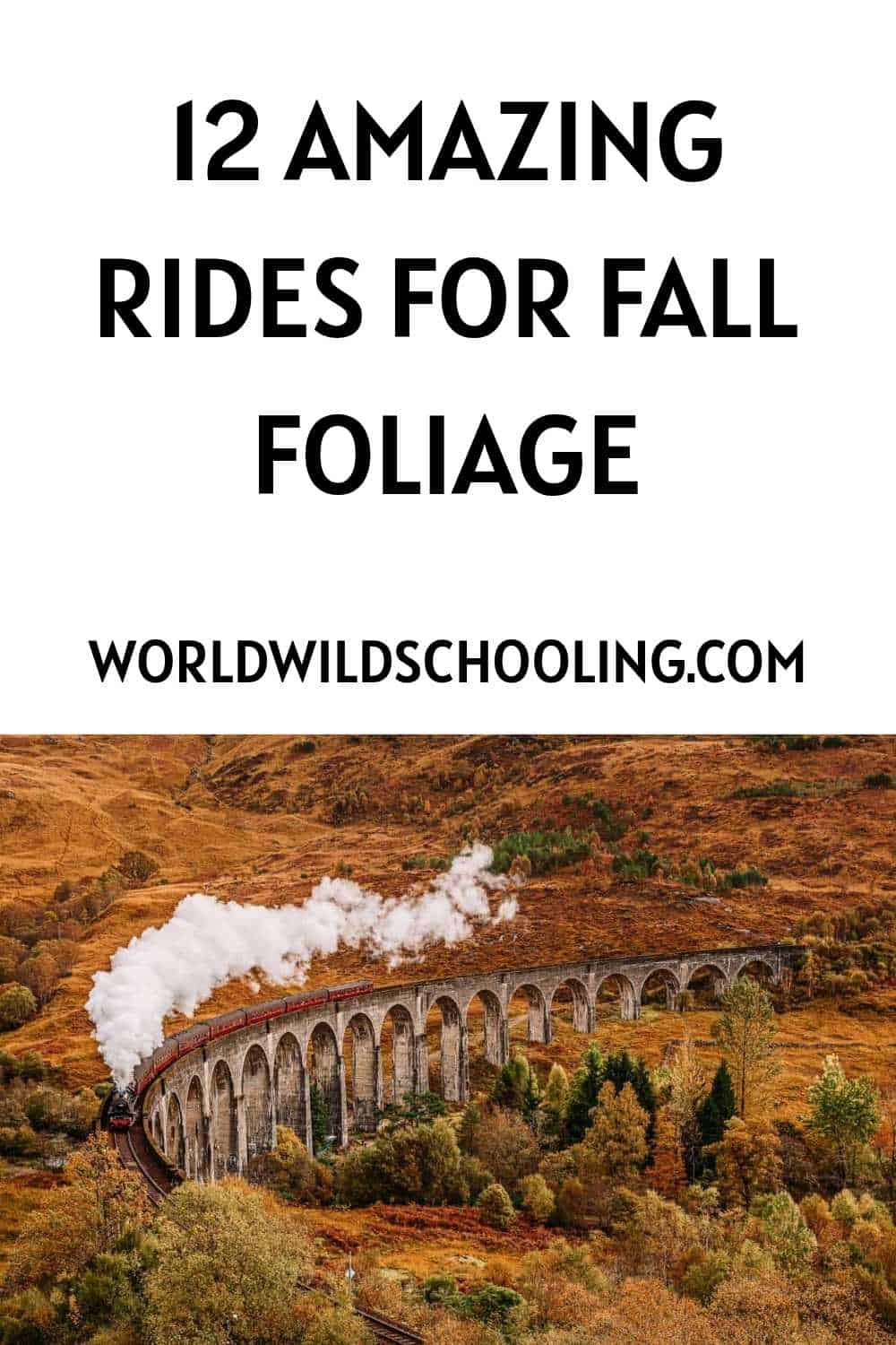 These 12 Train Rides for Fall Foliage Are Peak Autumn Vibes