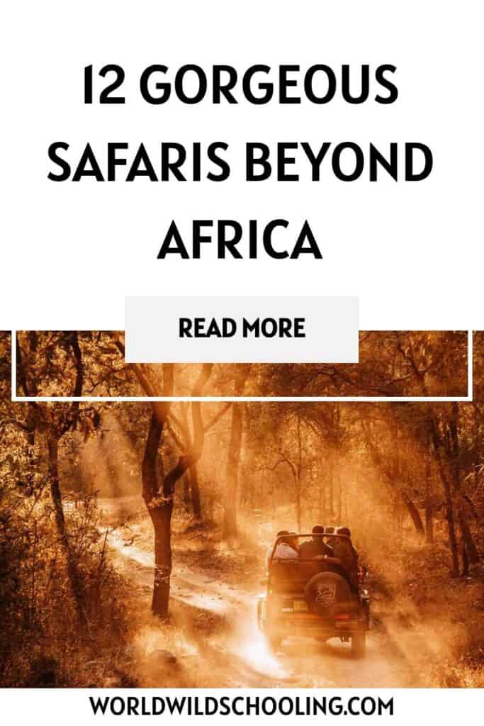12 Must-Try Safaris Beyond Africa 12 Must-Try Safaris Beyond Africa