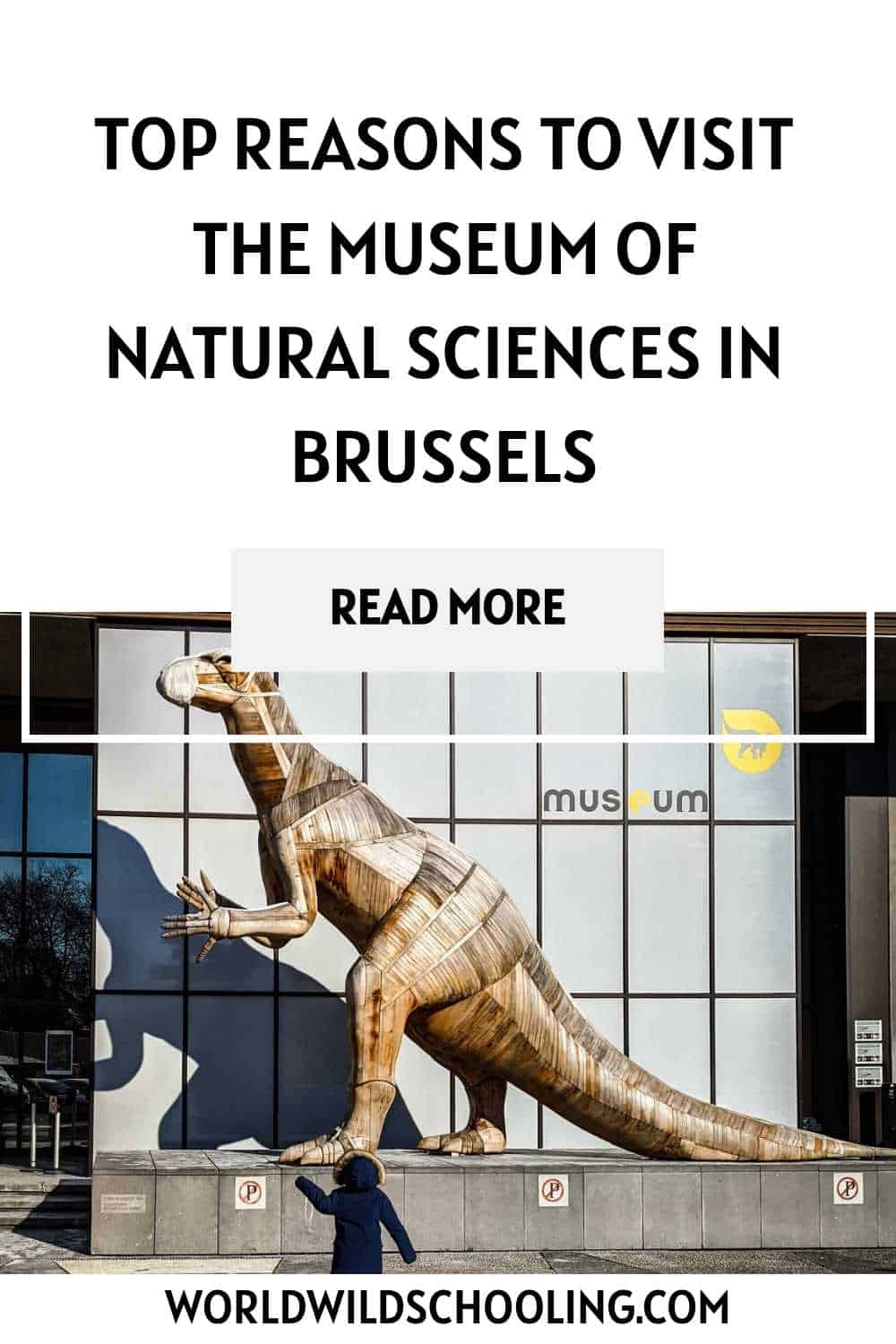 Fun Adventure at the Museum of Natural Sciences in Brussels Fun Adventure at the Museum of Natural Sciences in Brussels